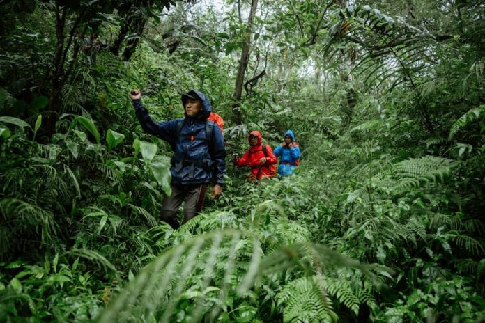 Checklist Wajib Sebelum Naik Gunung: Dari Persiapan Fisik sampai Gear Andalan