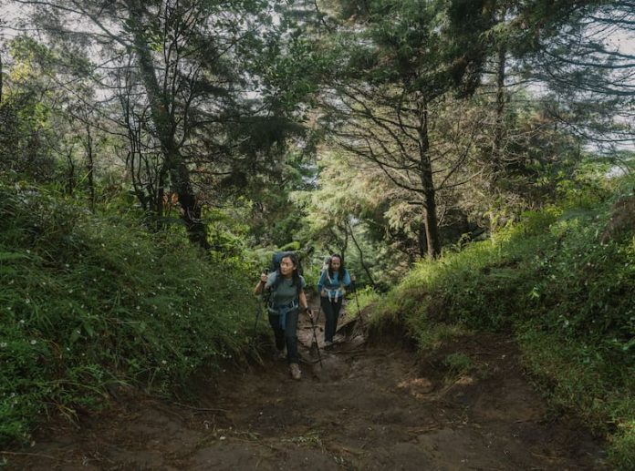 Pendakian Pertama ke Gunung Lawu: Jalur, Biaya, dan Gear Wajib Biar Nggak Kena Mental