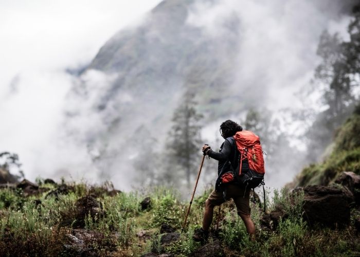 6 Jalur Resmi ke Puncak Cikuray: Mana yang Paling Cocok Buat Kamu?