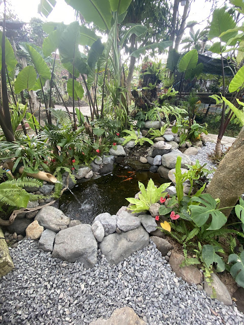 10+ Ide Kolam Air Terjun Batu Alam yang Bikin Taman Rumah Auto Mewah dan Adem