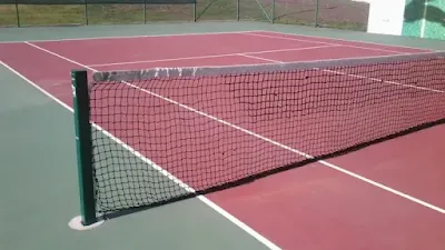Panduan Pickleball Pemula: Dari Perlengkapan, Latihan, sampai Komunitas (Biar Mainnya Makin Seru!)