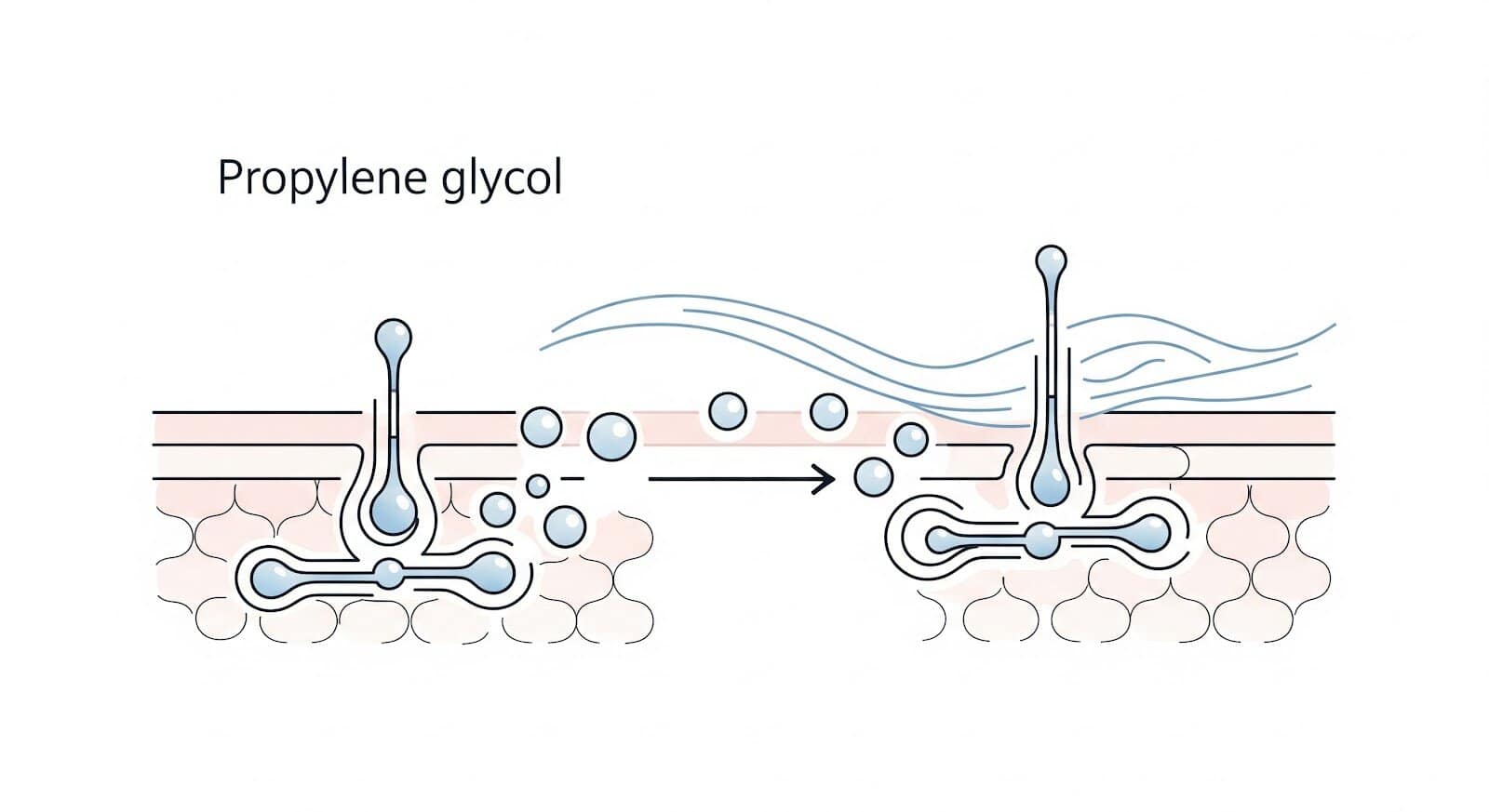 Propilen Glikol di Skincare: Bahan Sintetis yang Diam-Diam Bikin Kulit Lebih Glowing