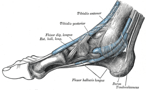 Belajar dari Cidera Tendon: Ambisi Marathon yang Kebablasan