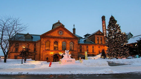 Musim Dingin Santai di Sapporo: Festival, Onsen, Ski, dan Kuliner Hangat dalam Satu Trip
