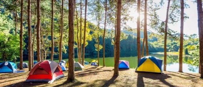 Mau Camping Seenak Tidur di Rumah? Kenali 8 Jenis Tenda dan Cara Milih yang Paling Pas!