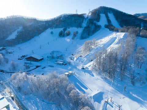 Musim Dingin Santai di Sapporo: Festival, Onsen, Ski, dan Kuliner Hangat dalam Satu Trip
