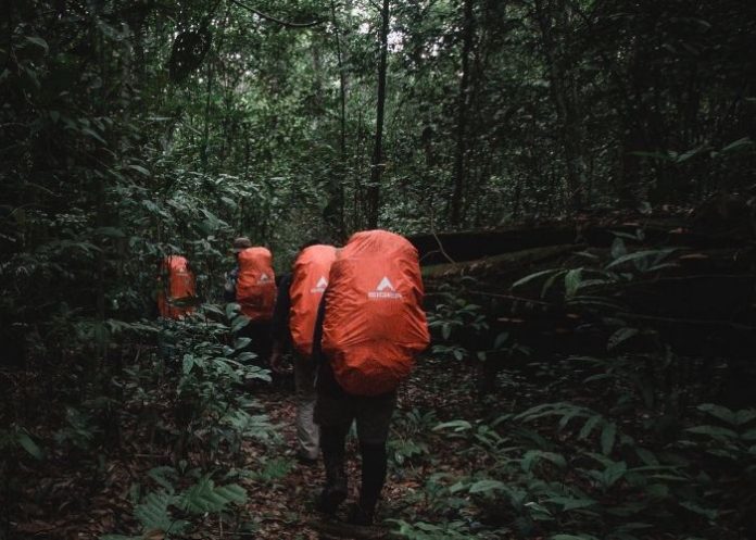 Panduan Lengkap Menaklukkan Gunung Latimojong & Hutan Lumut Tersembunyinya