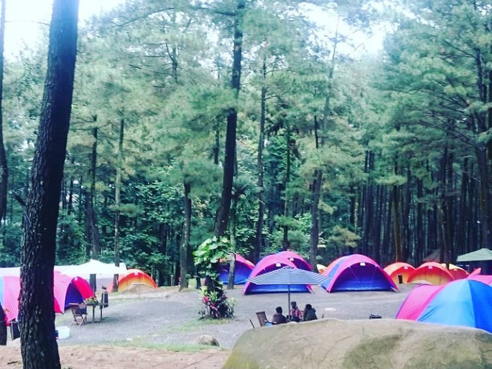 15 Camp di Bogor yang Bikin Healing Auto Pulih, Wajib Coba Weekend Ini!