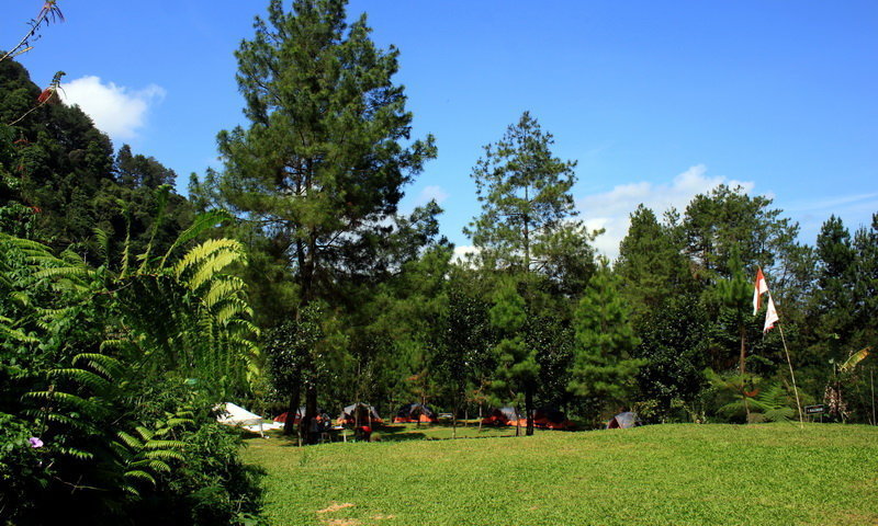 15 Camp di Bogor yang Bikin Healing Auto Pulih, Wajib Coba Weekend Ini!