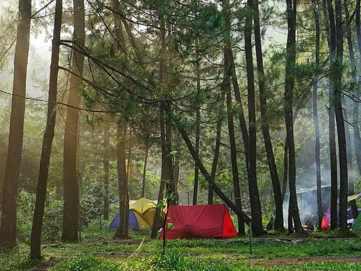 15 Camp di Bogor yang Bikin Healing Auto Pulih, Wajib Coba Weekend Ini!