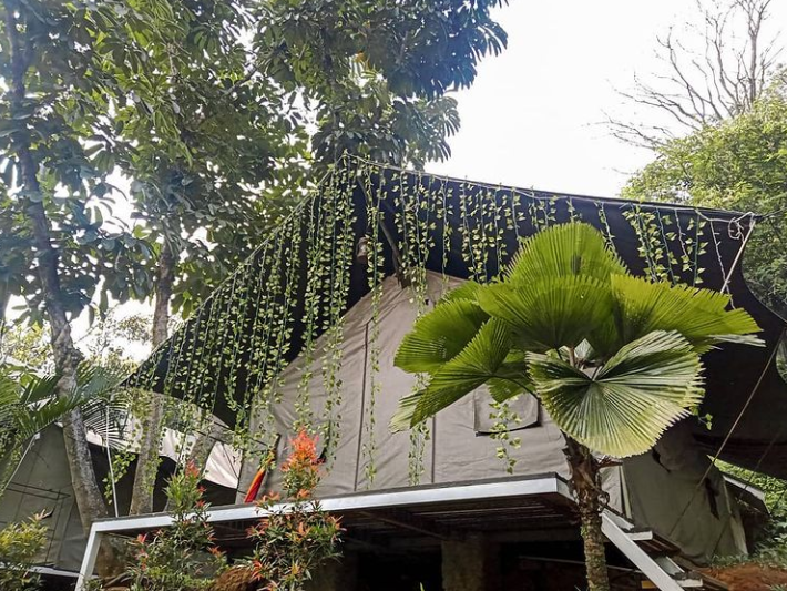 15 Camp di Bogor yang Bikin Healing Auto Pulih, Wajib Coba Weekend Ini!