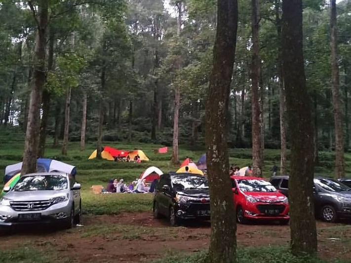 15 Camp di Bogor yang Bikin Healing Auto Pulih, Wajib Coba Weekend Ini!