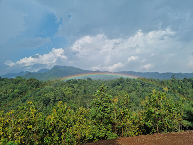Bukit Pecaringan Wonosalam: Surga Camping Dengan View Bikin Lupa Pulang