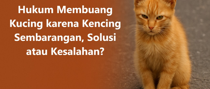 Dosa Besar di Balik Membuang Kucing Hanya karena Kencing Sembarangan (Dan Cara Halus Menghentikannya)