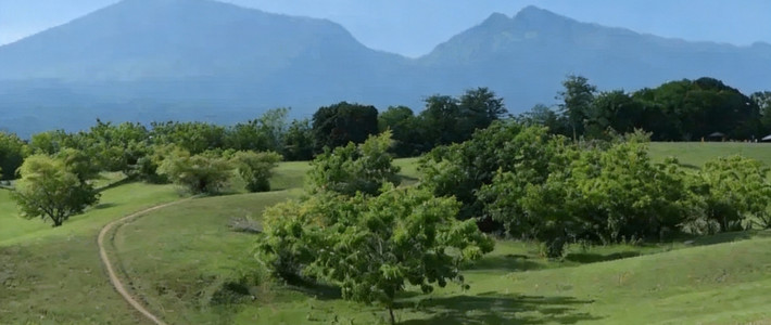 Savana Lendang Danger: Surga Drone Tersembunyi dengan View 360 Derajat di Lombok Utara