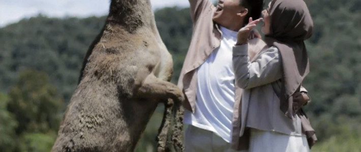 Booking Slot Ranca Upas? Nih Kompas Lengkapnya!