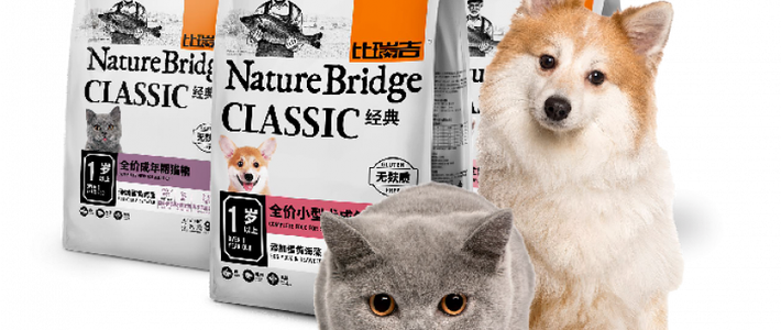 Rahasia Makanan Sehat untuk Kucing: Kenapa Nature Bridge Bisa Bikin Hidup Mereka Lebih Panjang?