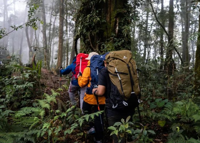 Pendaki Pemula Wajib Coba! Panduan Santai Menaklukkan Gunung Papandayan & Spot Terkerennya