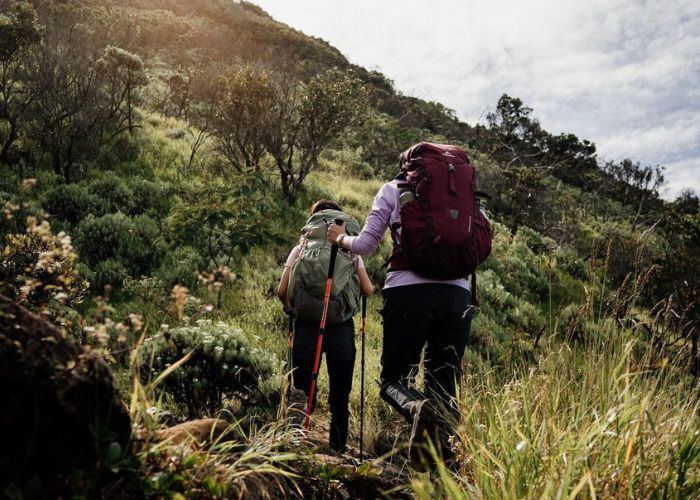 Open Trip Gunung Pertama? Begini Cara Biar Nyaman, Aman, dan Nggak Kalah Gaya