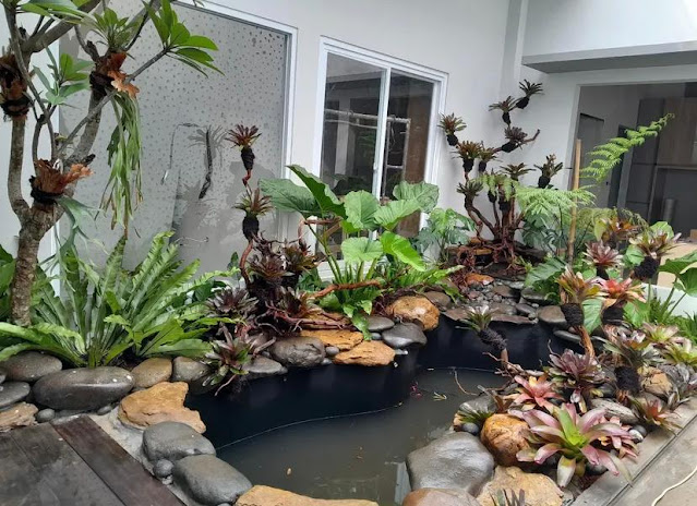Bikin Kolam Koi Minimalis di Jakarta: Dari Desain Estetik Sampai Jadi Spot Healing di Rumah