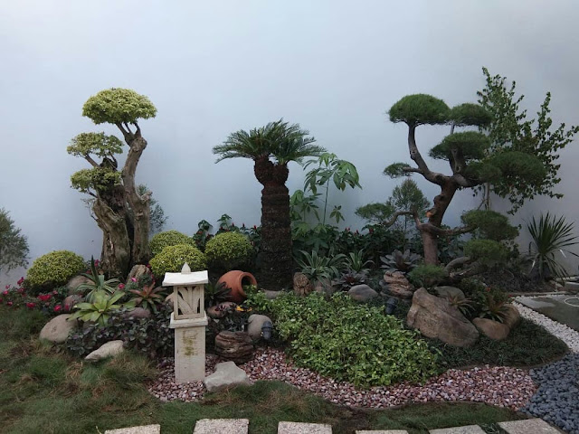 Bikin Sudut Rumah Berasa Kyoto: Jasa Taman Jepang Minimalis di Semarang