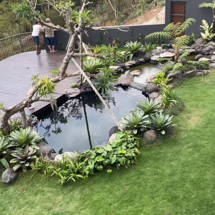 Bikin Kolam Koi Minimalis di Jakarta: Dari Desain Estetik Sampai Jadi Spot Healing di Rumah