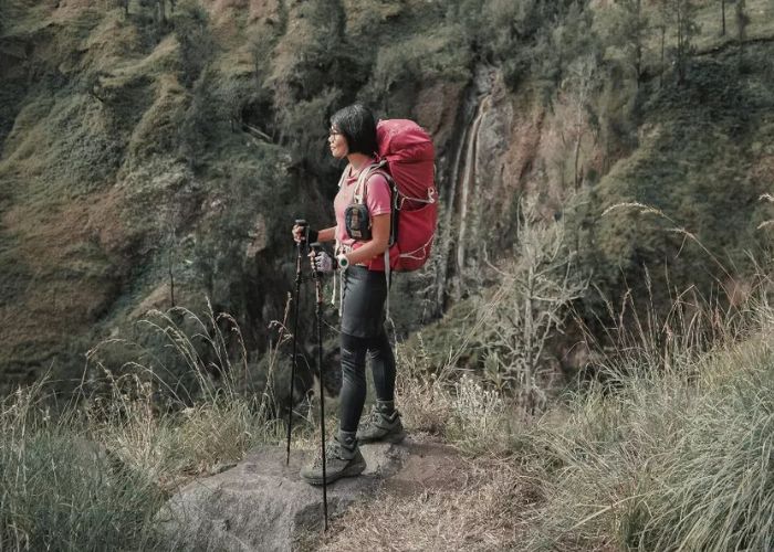 Pendaki Pemula Wajib Coba! Panduan Santai Menaklukkan Gunung Papandayan & Spot Terkerennya