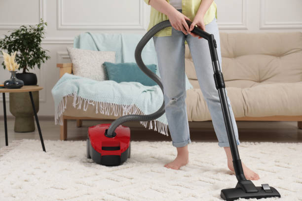 seseorang menggunakan vacuum cleaner untuk membersihkan karpet bulu