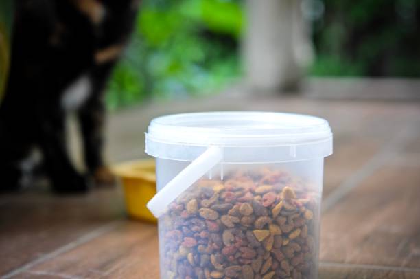makanan kucing di dalam wadah plastik tertutup