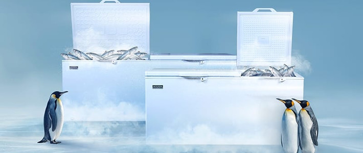 Panduan Merawat Chest Freezer Hemat Energi