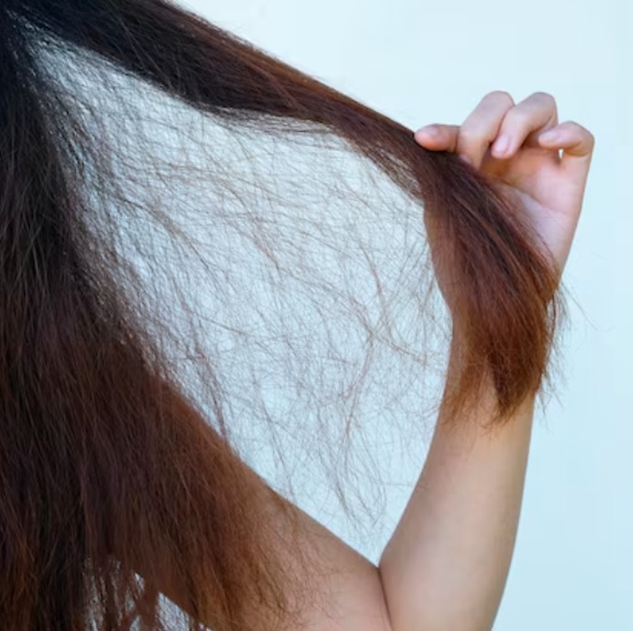 Masker Rambut Alami dari Pepaya dan Alpukat di Dapur