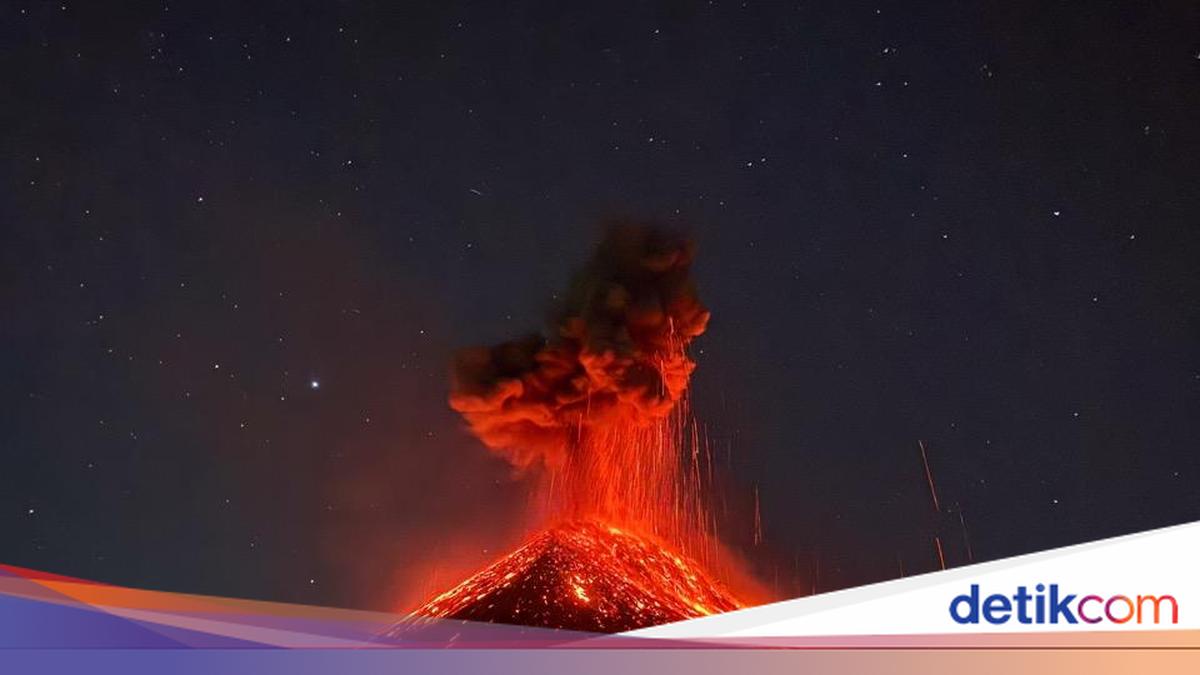 Pemenang iPhone Photography Awards Buktikan Perangkat Lama Masih Tajam