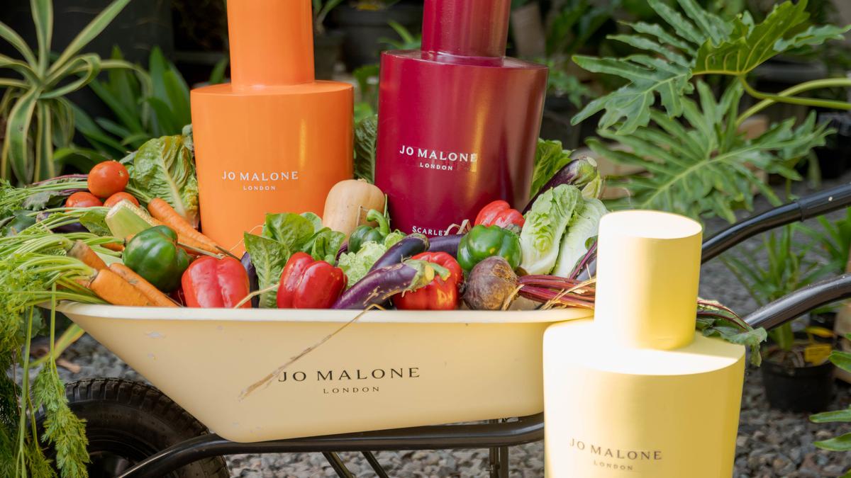 Parfum Beraroma Sayuran: Ketika Kebun Menjadi Wewangian Mewah