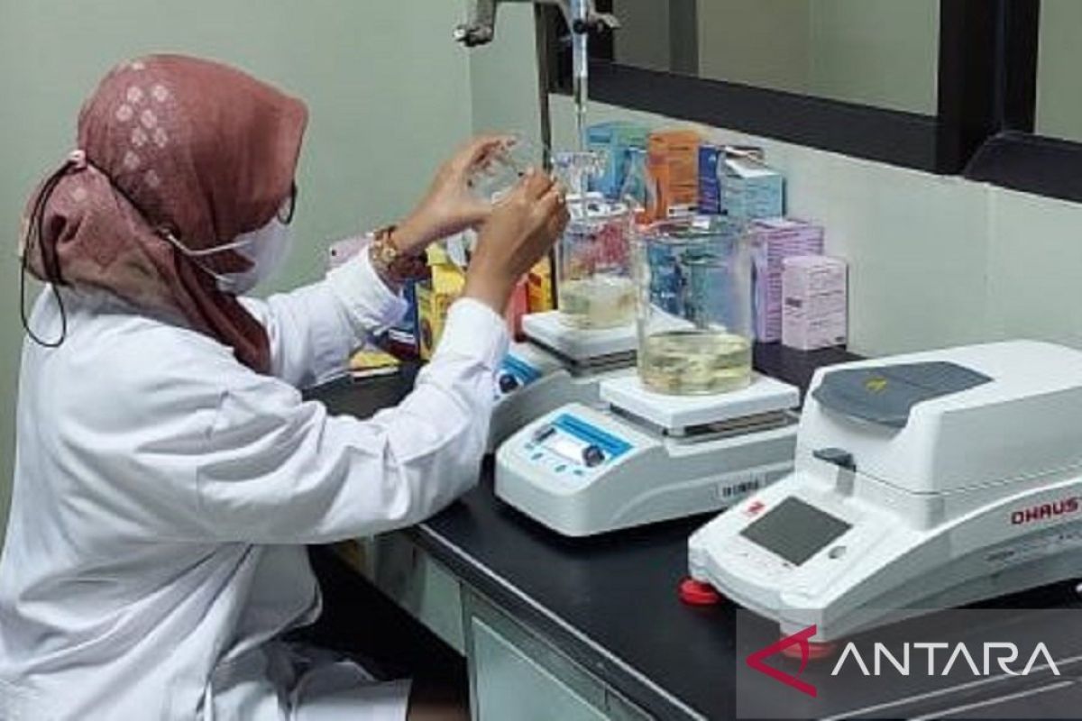 Nano Serum Daun Pucuk Merah: Terobosan Anti-Aging Alami SOGY