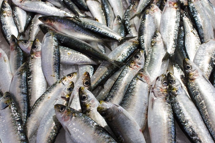 Makanan untuk Kulit Sehat: Nutrisi yang Membantu Eksim dari Dalam