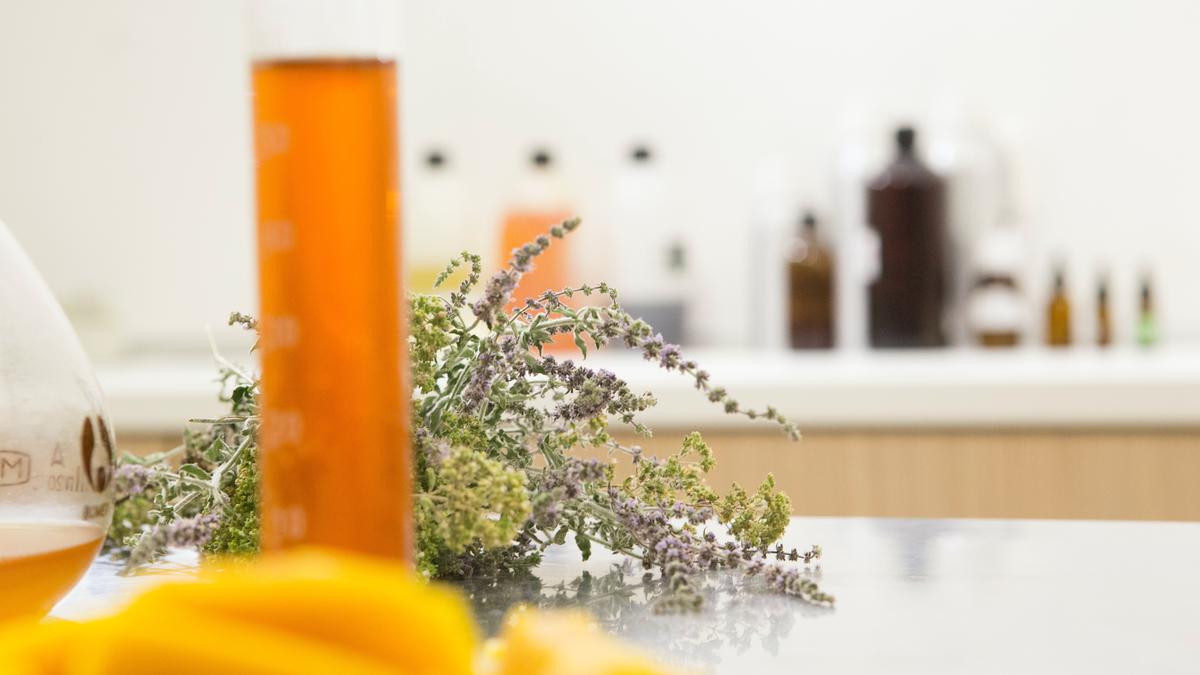 Panduan Lengkap Menggabungkan Niacinamide dengan Bahan Aktif Lain