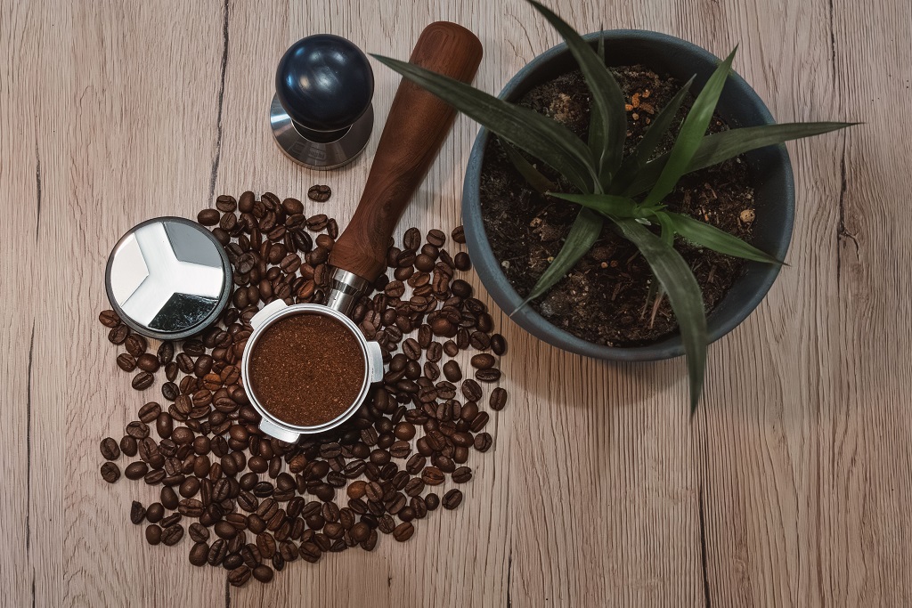 Kopi dan Daun Singkong: Rahasia Masker Wajah Alami yang Serius Efektif