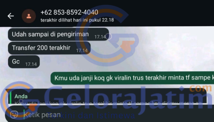 Penipuan di TikTok Meningkat: Kenali Modus dan Lindungi Diri