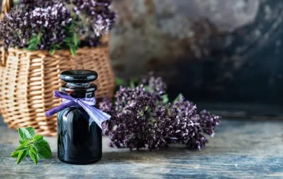 Minyak Lavender Esensial untuk Mengatasi Insomnia