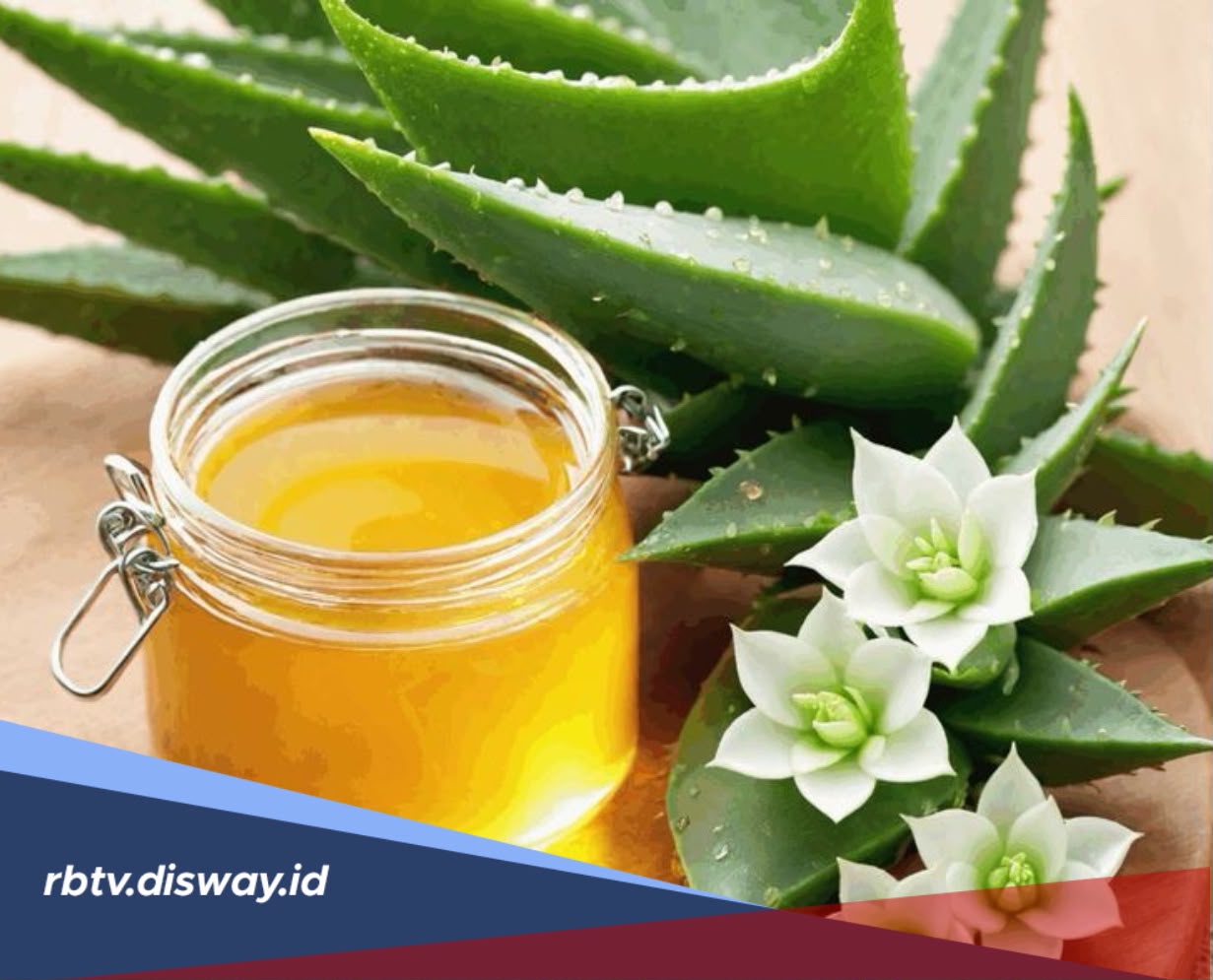 Kentang Mentah vs Lidah Buaya untuk Jerawat: Mana Lebih Layak Dicoba?
