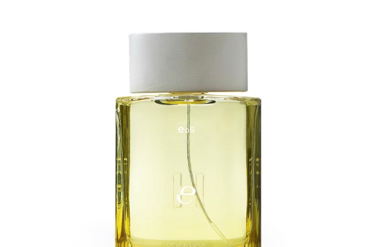 Parfum Citrus dan Aquatic Terbaik untuk Meningkatkan Mood dan Produktivitas Kerja