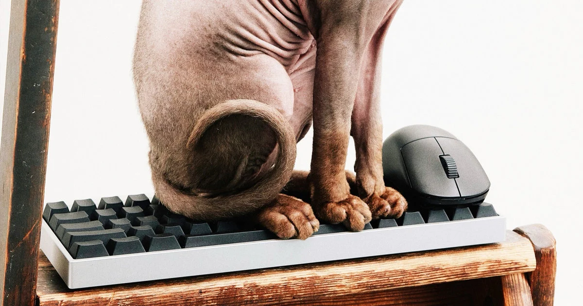 Wallhack vs Lenovo Legion: Keyboard-Mouse Gaming Terbaru
