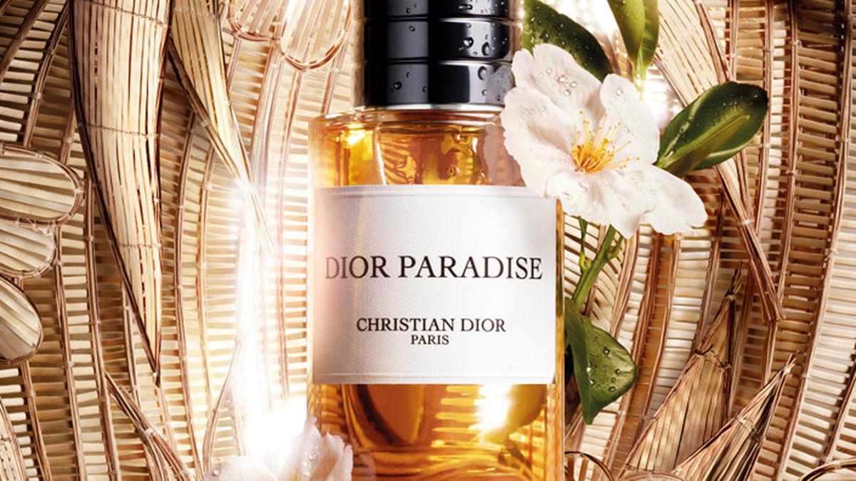Dior Paradise: Kebun Almond Impian dalam Setiap Semprotan