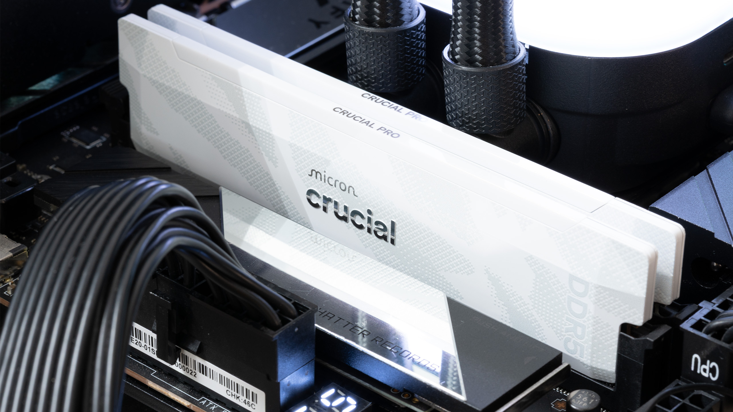 Harga RAM DDR5 Diprediksi Melejit: Beli Sekarang atau Menyesal Nanti
