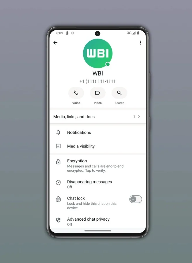 Panduan Pembersih Media Channel WhatsApp untuk Bebaskan Memori