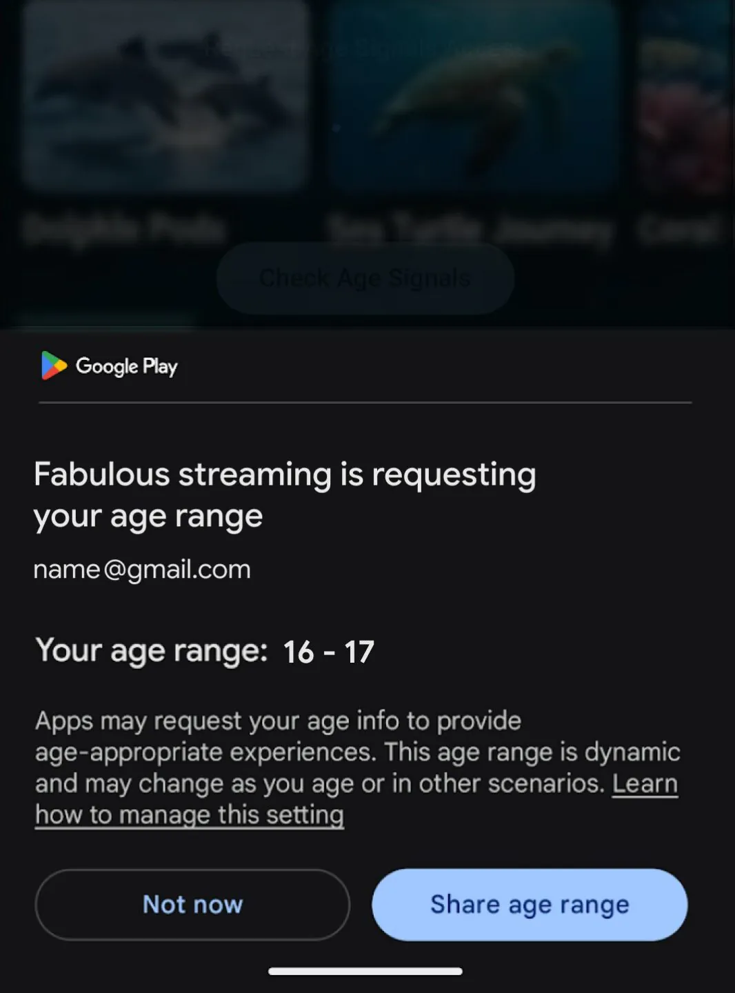 Age Signals API Google: Titik Balik Verifikasi Usia Android