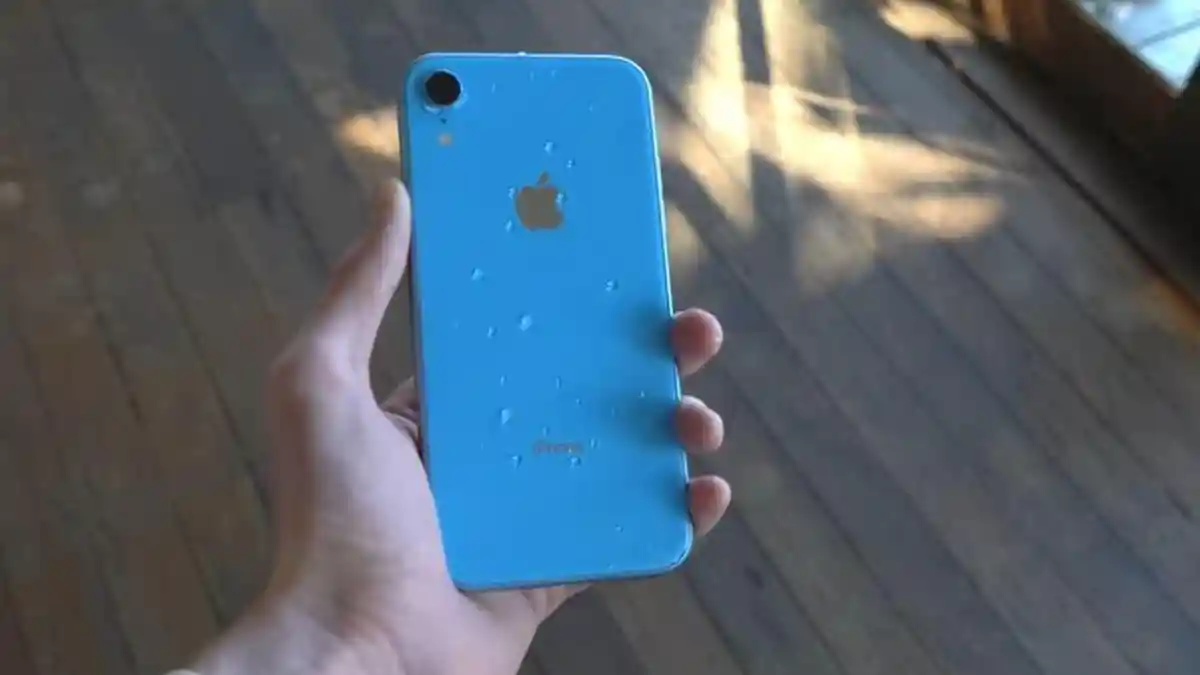 iPhone 11 vs iPhone XR Bekas: Beli Sekarang atau Upgrade?