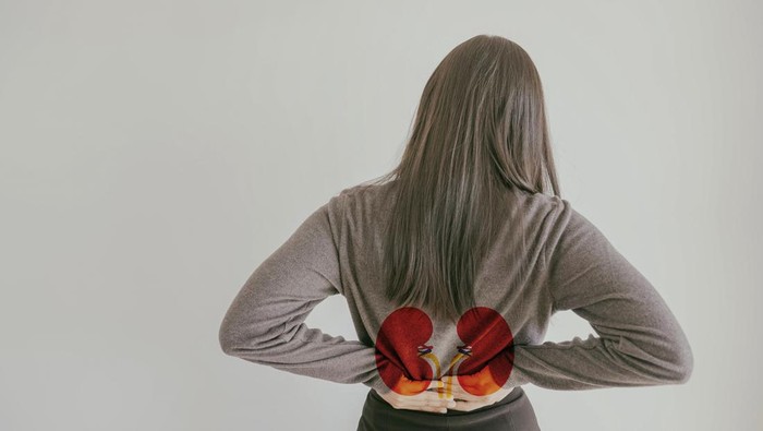 Makanan Pemicu Batu Ginjal yang Harus Dihindari dan Alternatif Sehatnya