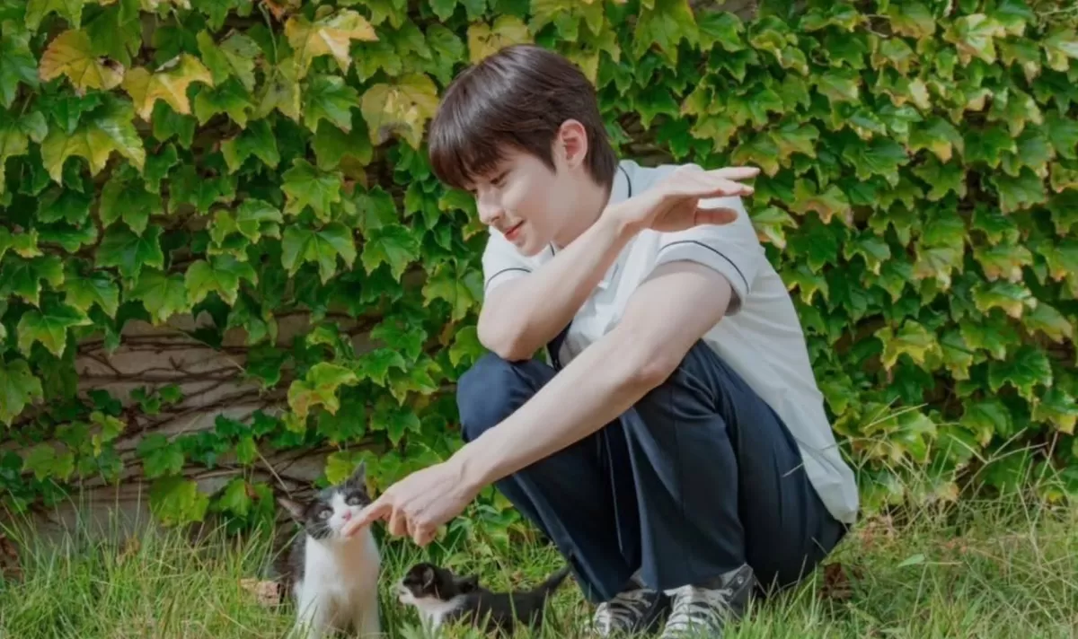 Panduan Lengkap Nonton Dream To You Episode 7 dan 8 Sub Indo