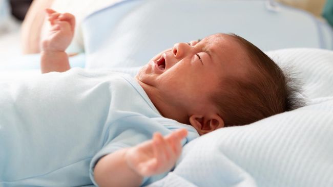 Panduan Nutrisi Pencernaan Sehat untuk Anak: Sinbiotik dan Protein Hewani